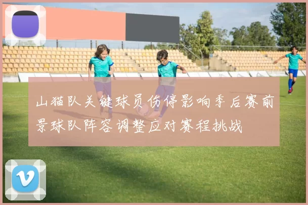 山猫队关键球员伤停影响季后赛前景球队阵容调整应对赛程挑战