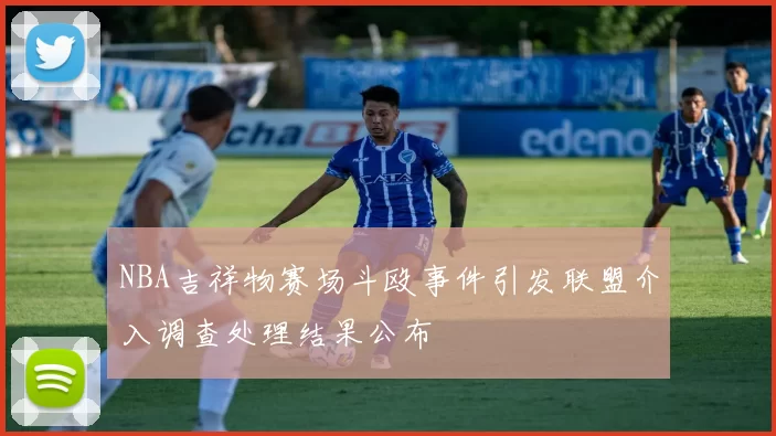 NBA吉祥物赛场斗殴事件引发联盟介入调查处理结果公布