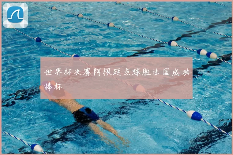世界杯决赛阿根廷点球胜法国成功捧杯