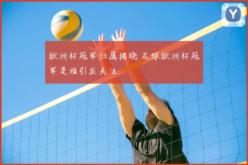 欧洲杯冠军归属揭晓 足球欧洲杯冠军是谁引发关注