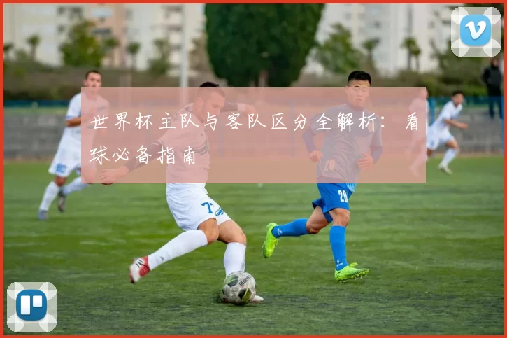 世界杯主队与客队区分全解析:看球必备指南
