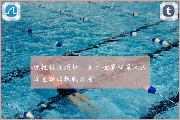 理性投注须知：关于世界杯最大投注金额的权威发布