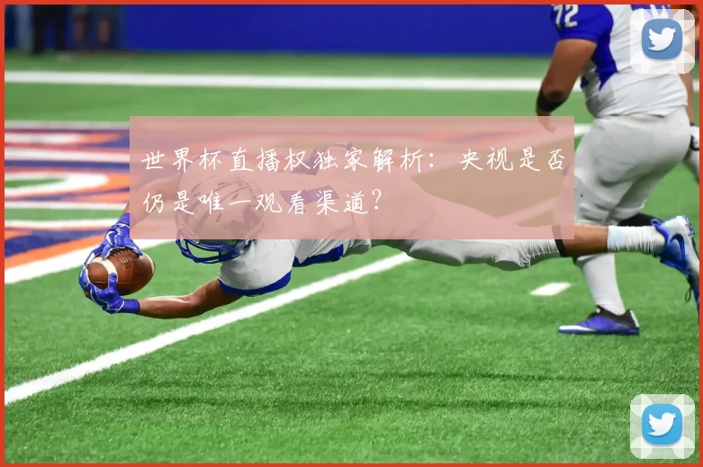 世界杯直播权独家解析:央视是否仍是唯一观看渠道?